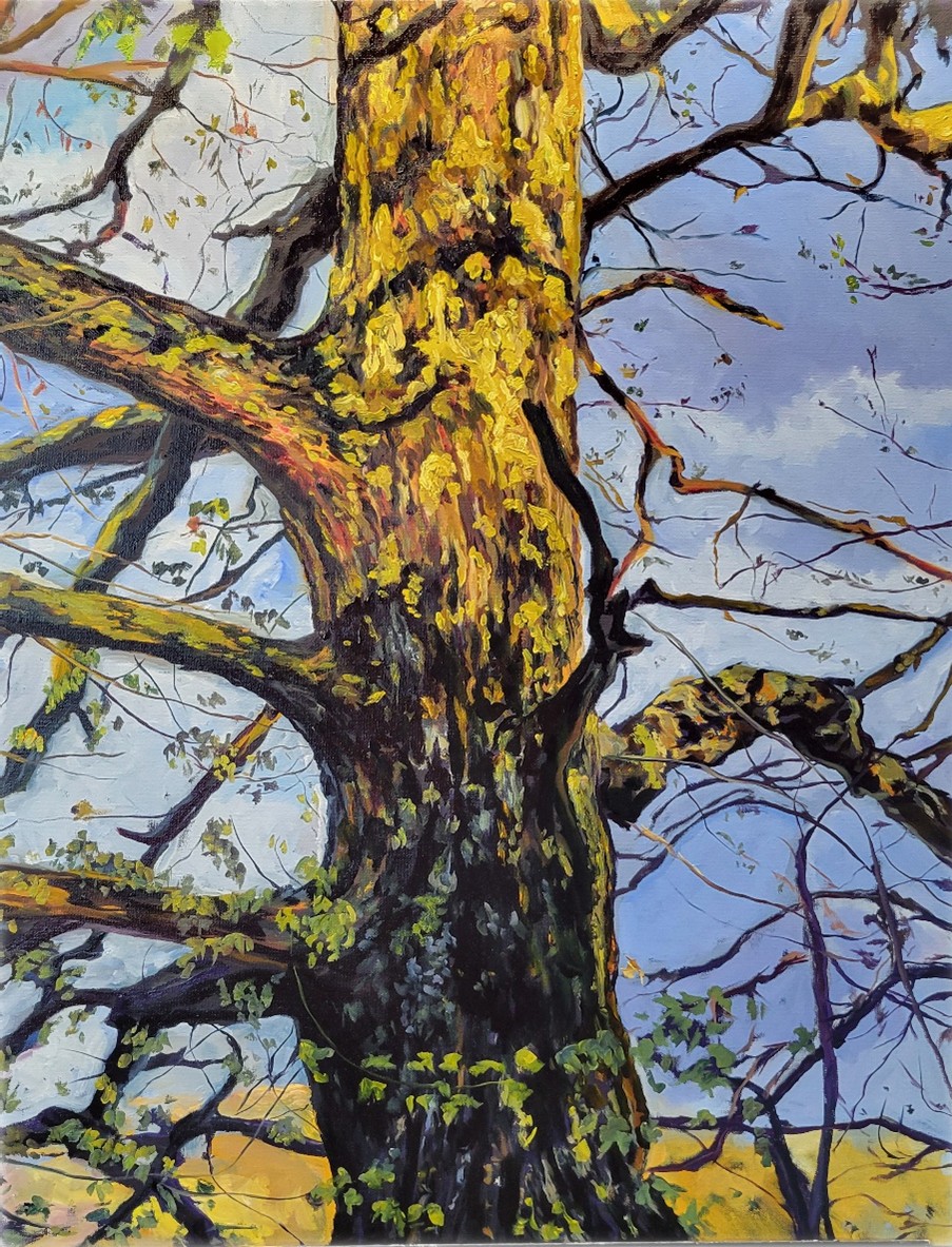 wayatt you're an oak tombstone art ray guzman